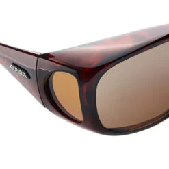 Alpina OVERVIEW Unisex Schutzbrille HAVANNA -FRILU Outdoor Geschaft 133432005 e overview alpina