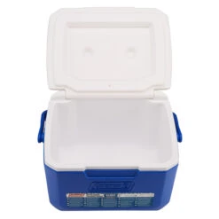 Coleman 5 QT PERFORMANCE 6 PERSONAL COOLER Kühlbox BLAU/WEISS -FRILU Outdoor Geschaft 5637813868 i fliplid 6 coleman 24
