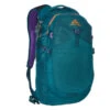 Gregory NANO 20 Tagesrucksack ICON TEAL