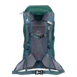 Deuter AC LITE 30 Tagesrucksack ALPINEGREEN-ARCTIC -FRILU Outdoor Geschaft 5638024287 c ac lite 30 deuter 24